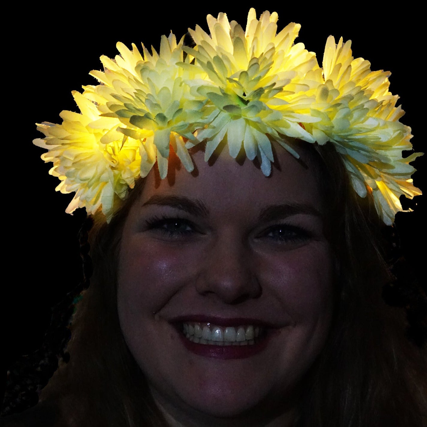 Chrysant bloemenkroon Glow Donker 